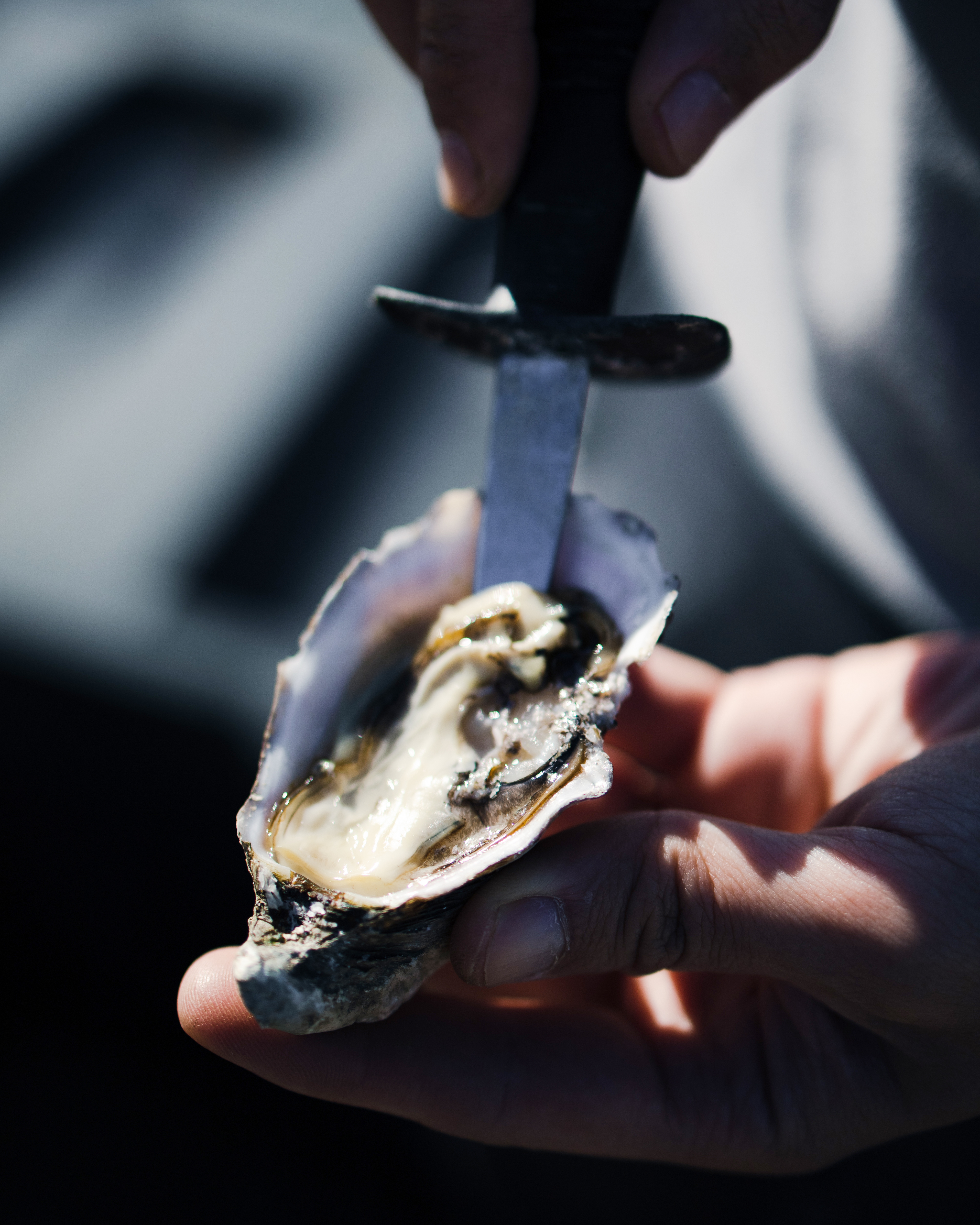 Andre Verdier Oyster Shucking Knives